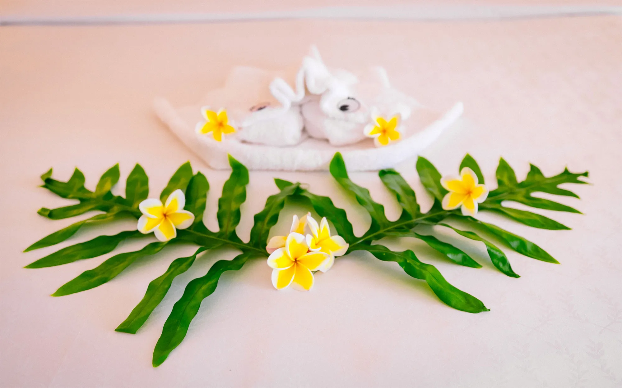 9667 hawaii honeymoon stargazing