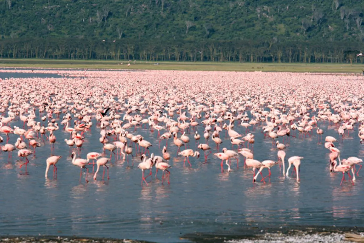 9668 newport ri honeymoon