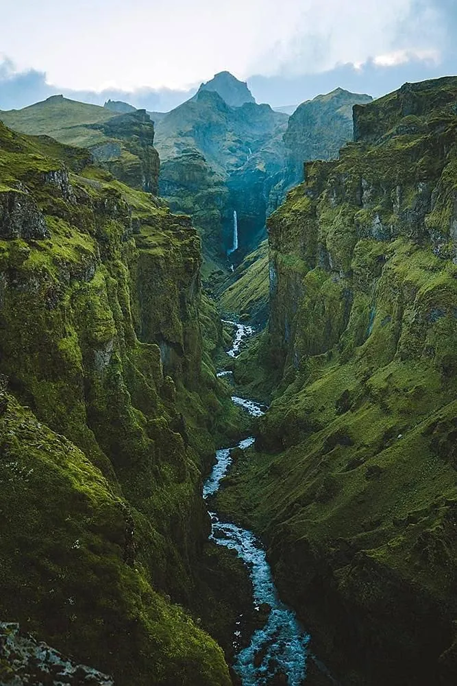 9685 bali rice fields